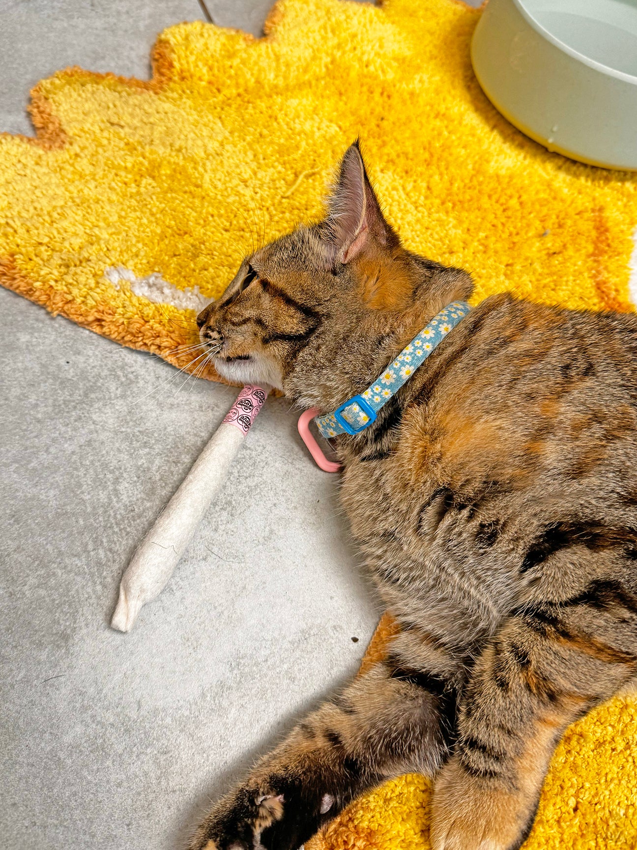 Catnip Joint Toy