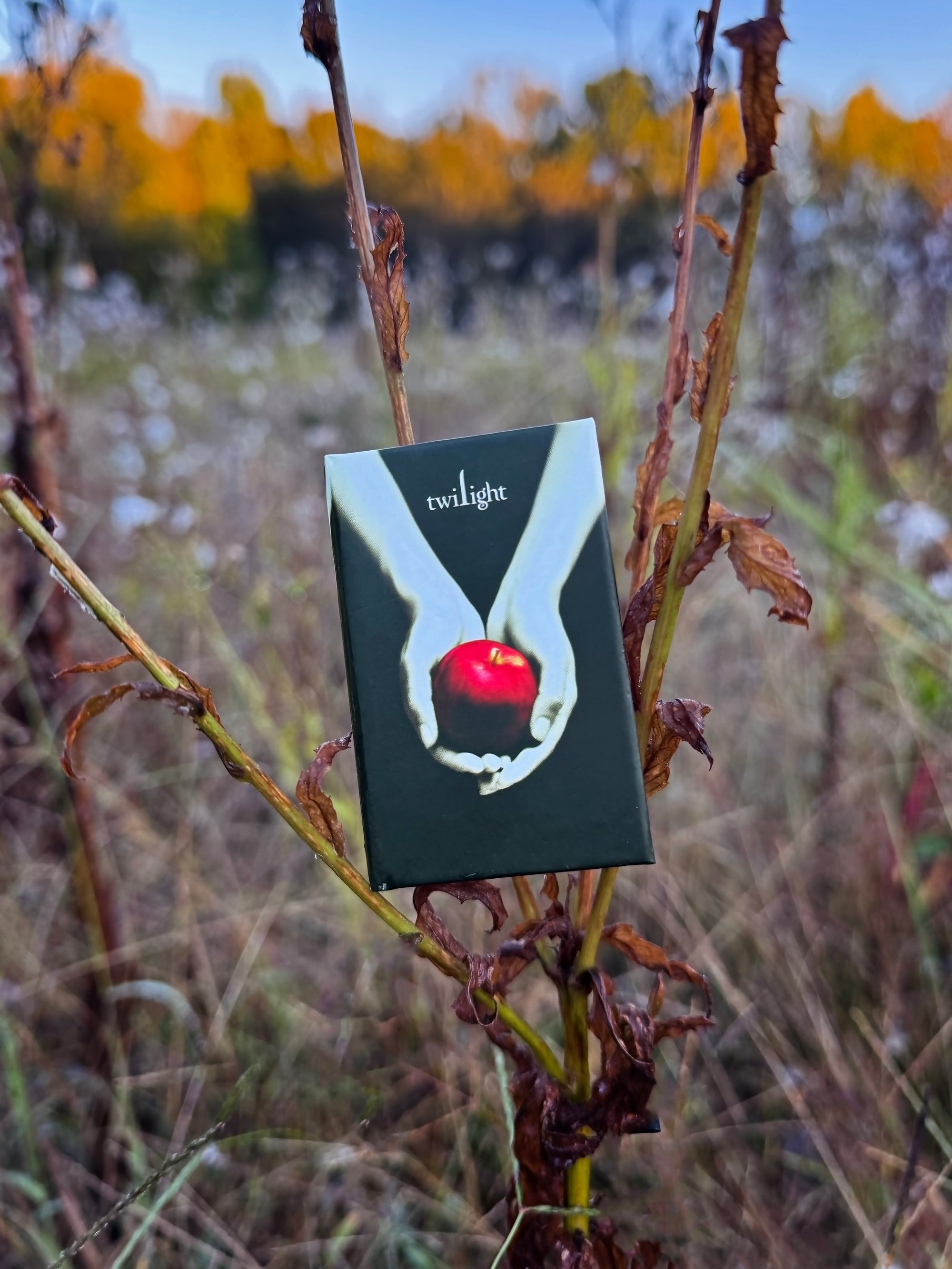 Twilight Matchbook